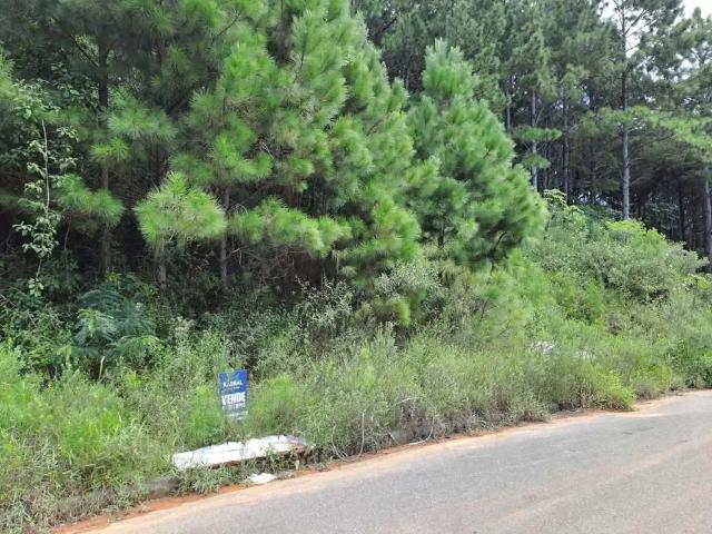 Terreno / Lote para Venda em Florianópolis/SC Itacorubi