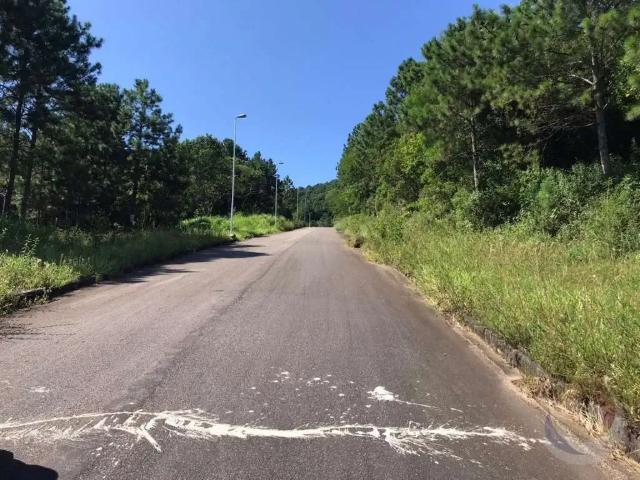 Terreno / Lote para Venda em Florianópolis/SC Itacorubi