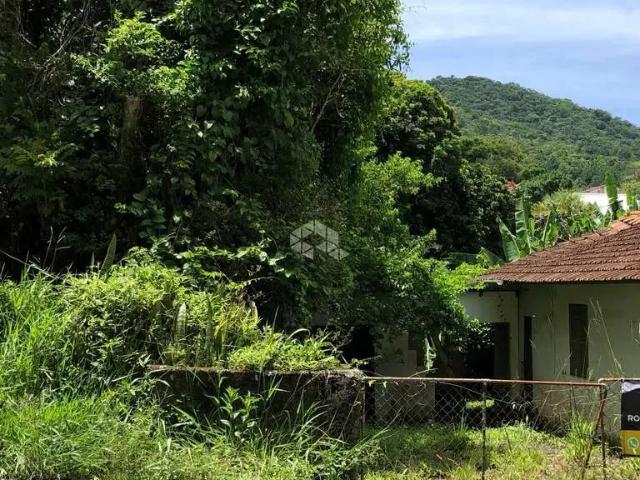 Terreno / Lote para Venda em Florianópolis/SC Itacorubi