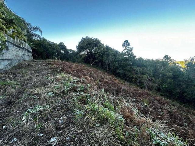 Terreno / Lote para Venda em Florianópolis/SC João Paulo