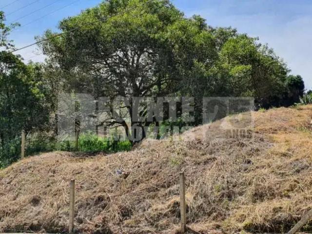 Terreno / Lote para Venda em Florianópolis/SC João Paulo
