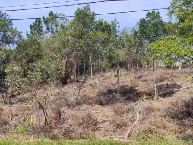 Terreno / Lote para Venda em Florianópolis/SC João Paulo