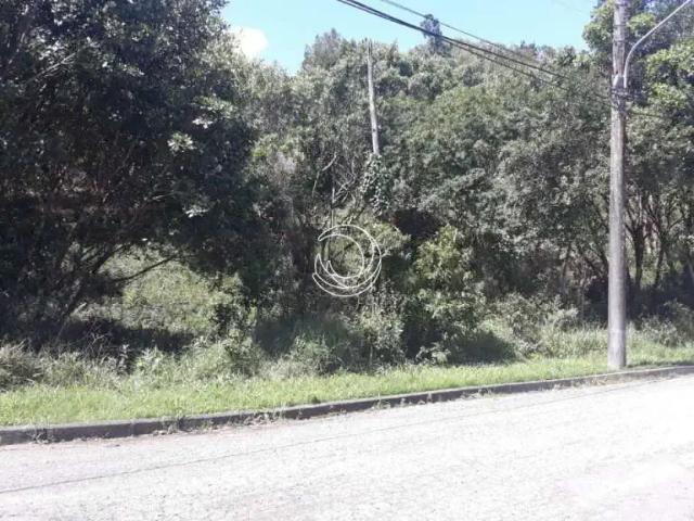 Terreno / Lote para Venda em Florianópolis/SC João Paulo