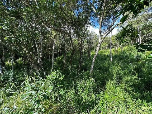 Terreno / Lote para Venda em Florianópolis/SC João Paulo