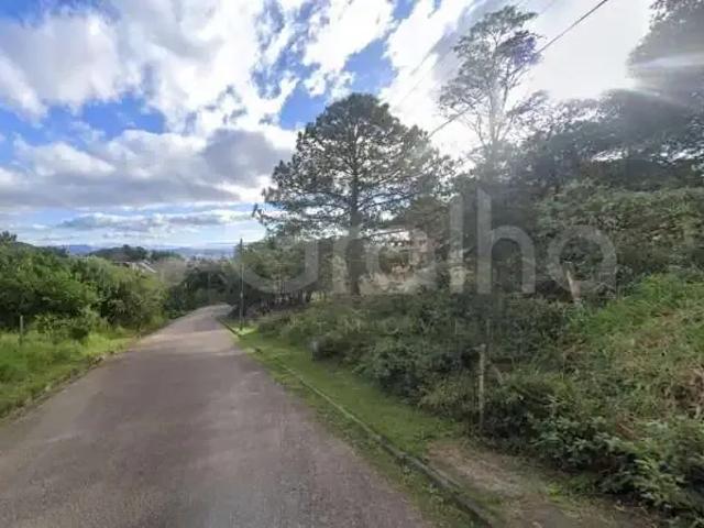 Terreno / Lote para Venda em Florianópolis/SC João Paulo
