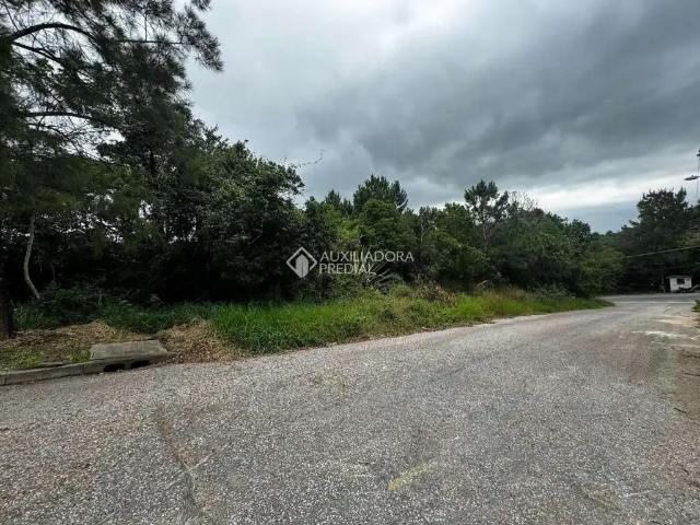 Terreno / Lote para Venda em Florianópolis/SC João Paulo