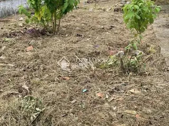 Terreno / Lote para Venda em Florianópolis/SC José Mendes