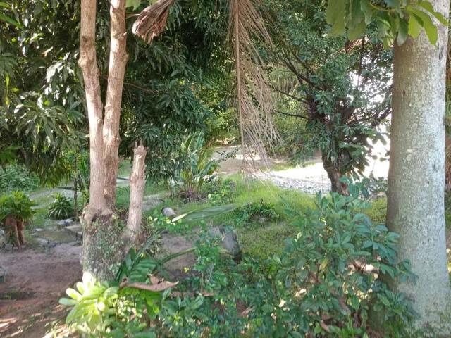 Terreno / Lote para Venda em Florianópolis/SC Jardim Atlântico