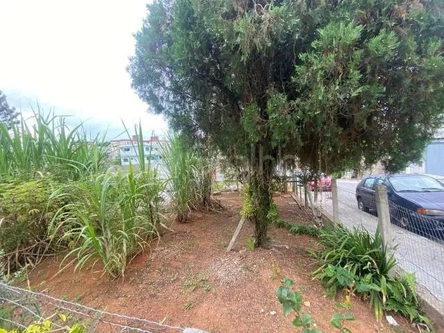 Terreno / Lote para Venda em Florianópolis/SC Jardim Atlântico