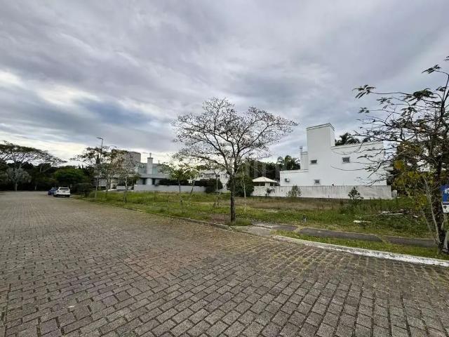 Terreno / Lote para Venda em Florianópolis/SC Jurerê Internacional
