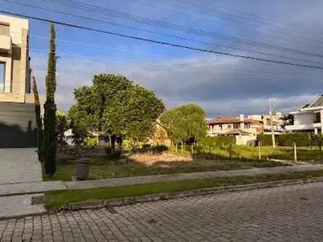 Terreno / Lote para Venda em Florianópolis/SC Jurerê Internacional