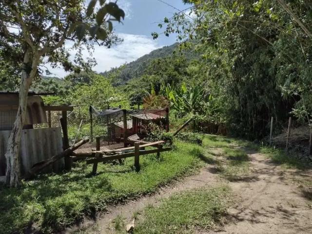 Terreno / Lote para Venda em Florianópolis/SC Jurerê