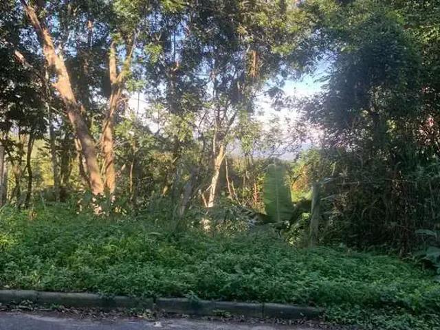 Terreno / Lote para Venda em Florianópolis/SC Jurerê