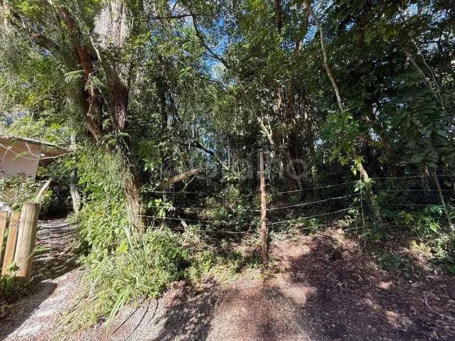 Terreno / Lote para Venda em Florianópolis/SC Lagoa da Conceição