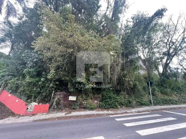 Terreno / Lote para Venda em Florianópolis/SC Lagoa da Conceição