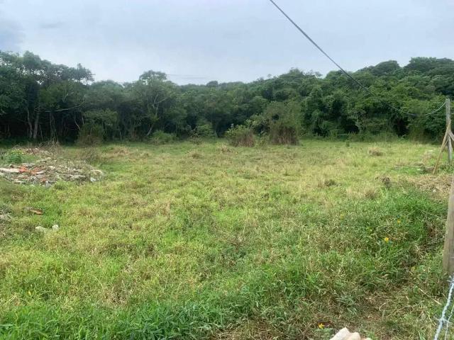 Terreno / Lote para Venda em Florianópolis/SC Lagoa da Conceição