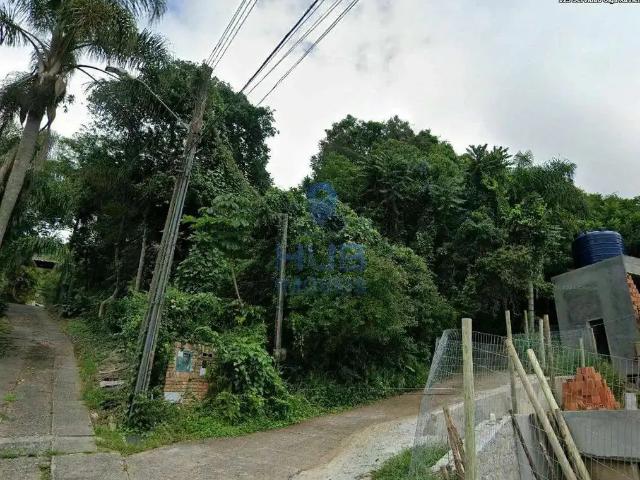 Terreno / Lote para Venda em Florianópolis/SC Lagoa da Conceição
