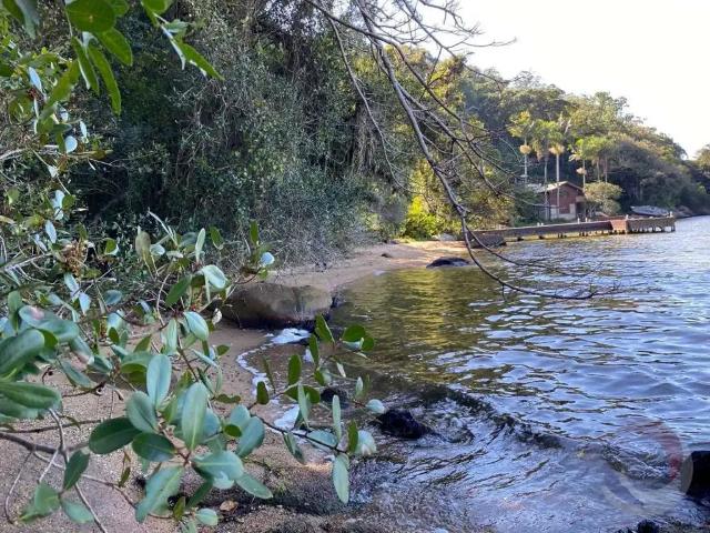 Terreno / Lote para Venda em Florianópolis/SC Lagoa da Conceição