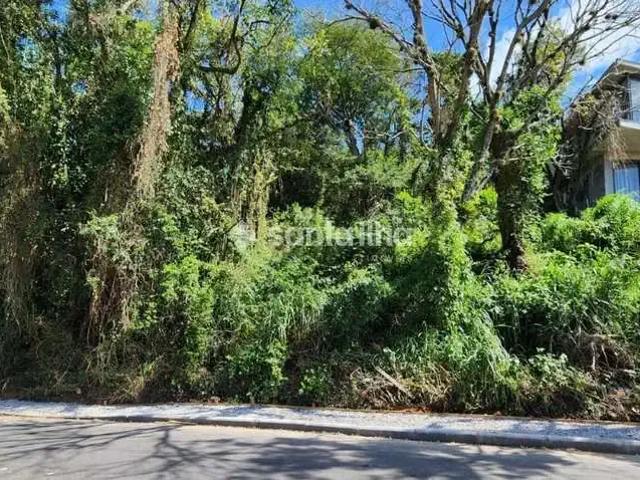 Terreno / Lote para Venda em Florianópolis/SC Lagoa da Conceição