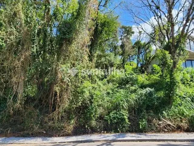 Terreno / Lote para Venda em Florianópolis/SC Lagoa da Conceição