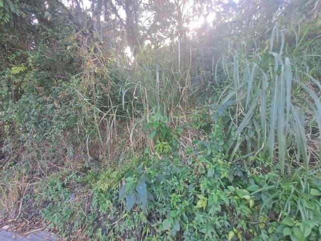 Terreno / Lote para Venda em Florianópolis/SC Lagoa da Conceição