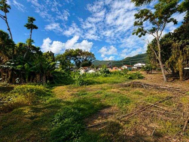 Terreno / Lote para Venda em Florianópolis/SC Monte Verde 1 Quartos