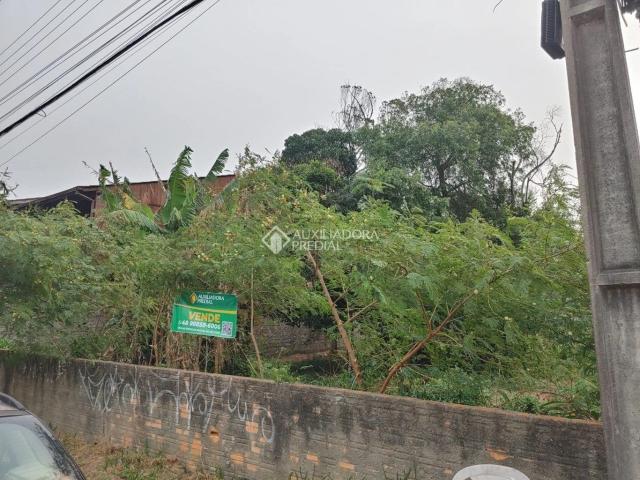 Terreno / Lote para Venda em Florianópolis/SC Morro das Pedras