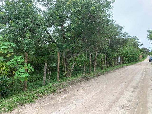 Terreno / Lote para Venda em Florianópolis/SC São João do Rio Vermelho
