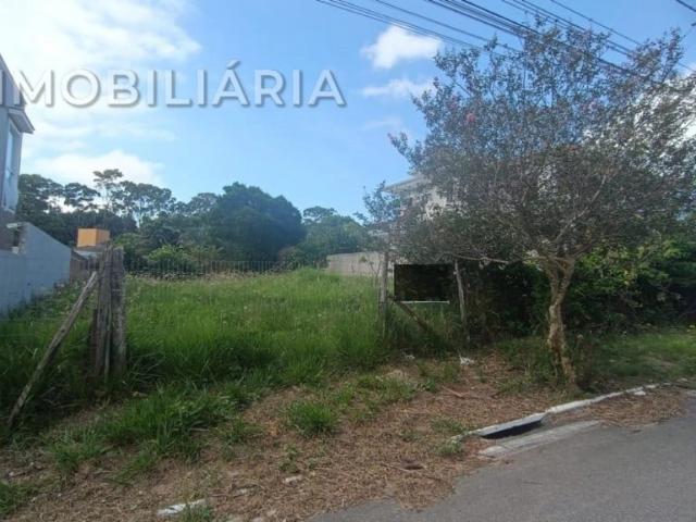 Terreno / Lote para Venda em Florianópolis/SC São João do Rio Vermelho
