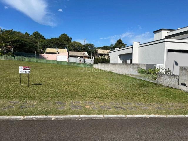 Terreno / Lote para Venda em Florianópolis/SC São João do Rio Vermelho