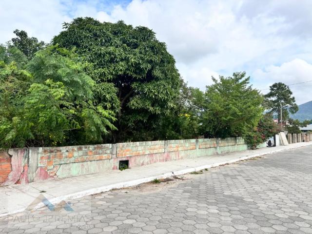 Terreno / Lote para Venda em Florianópolis/SC São João do Rio Vermelho 4 Quartos