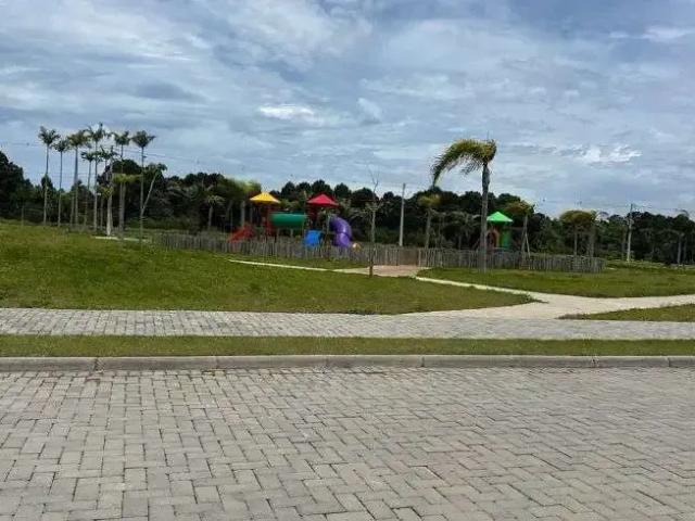 Terreno / Lote para Venda em Florianópolis/SC São João do Rio Vermelho