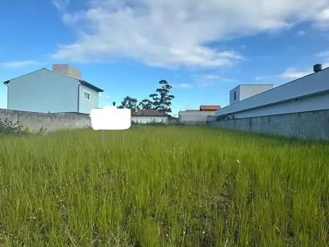 Terreno / Lote para Venda em Florianópolis/SC Rio Vermelho