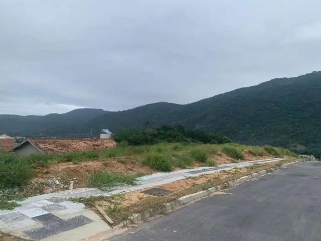 Terreno / Lote para Venda em Florianópolis/SC São João do Rio Vermelho