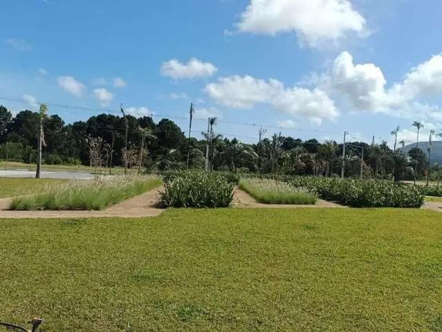 Terreno / Lote para Venda em Florianópolis/SC São João do Rio Vermelho