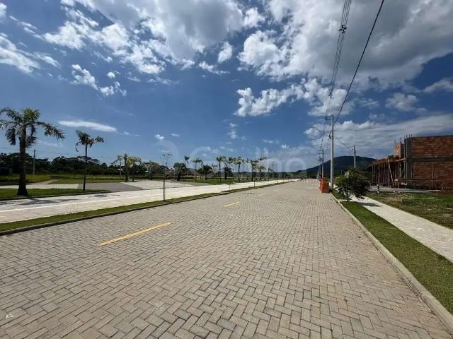Terreno / Lote para Venda em Florianópolis/SC São João do Rio Vermelho