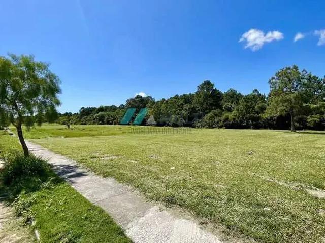 Terreno / Lote para Venda em Florianópolis/SC São João do Rio Vermelho