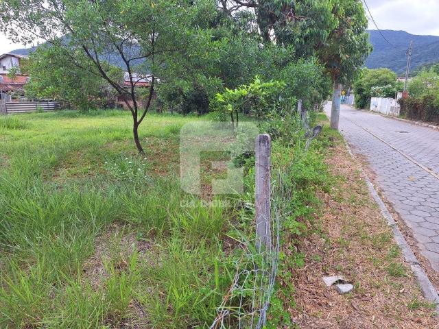 Terreno / Lote para Venda em Florianópolis/SC São João do Rio Vermelho