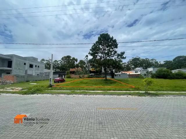 Terreno / Lote para Venda em Florianópolis/SC São João do Rio Vermelho