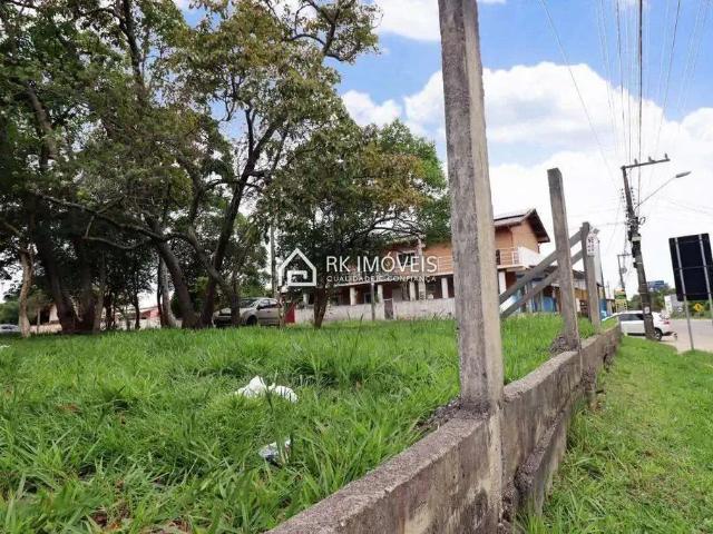 Terreno / Lote para Venda em Florianópolis/SC São João do Rio Vermelho