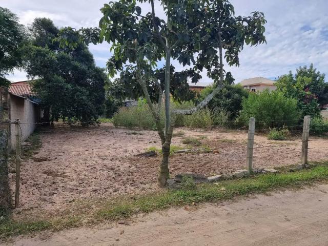 Terreno / Lote para Venda em Florianópolis/SC São João do Rio Vermelho