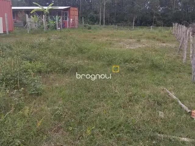 Terreno / Lote para Venda em Florianópolis/SC São João do Rio Vermelho