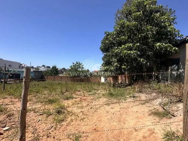 Terreno / Lote para Venda em Florianópolis/SC São João do Rio Vermelho