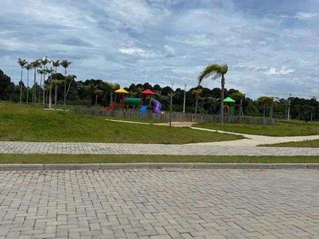 Terreno / Lote para Venda em Florianópolis/SC São João do Rio Vermelho