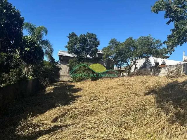 Terreno / Lote para Venda em Florianópolis/SC São João do Rio Vermelho