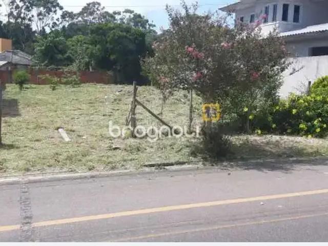 Terreno / Lote para Venda em Florianópolis/SC São João do Rio Vermelho