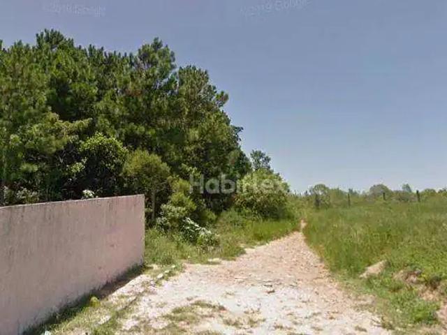 Terreno / Lote para Venda em Florianópolis/SC São João do Rio Vermelho