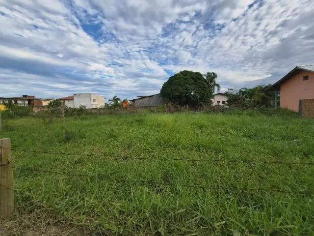 Terreno / Lote para Venda em Florianópolis/SC São João do Rio Vermelho