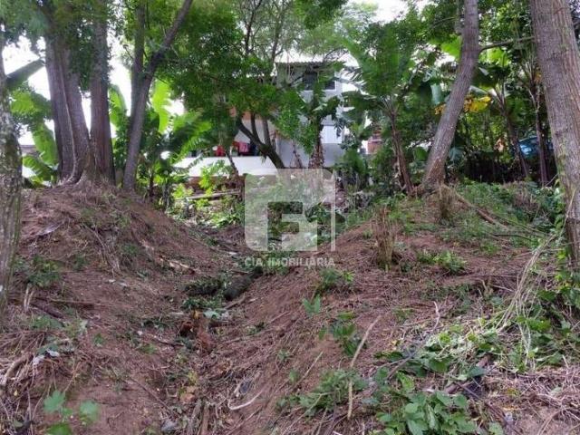 Terreno / Lote para Venda em Florianópolis/SC Saco Grande