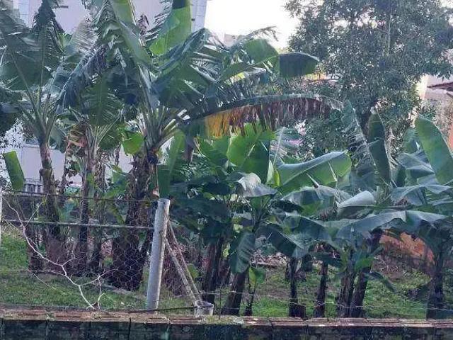 Terreno / Lote para Venda em Florianópolis/SC Saco Grande